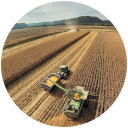 proteccion especializada maescy